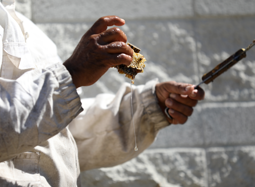 Local beekeeper makes honey with bees removed from BART property, protecting riders and helping to preserve the critical insect