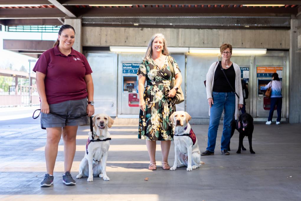 From left to right: Scarlett with handler Alysia Santos, Sheldon with handler Suzie Scher, Handsome Ransom with handler Kathleen Fraser. Pictured in the unpaid area of Concord Station. 