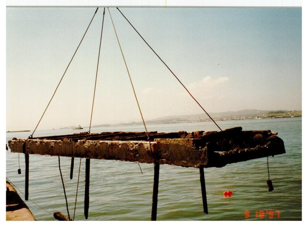 A depleted anode being lifted from the water. 